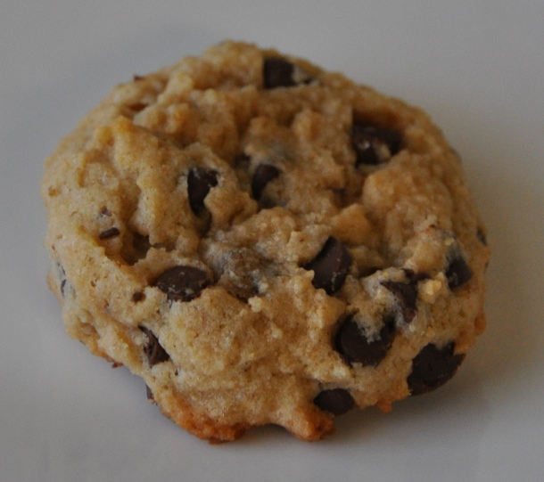 Low Fat Yogurt Cookies with Chocolate Chips 6a